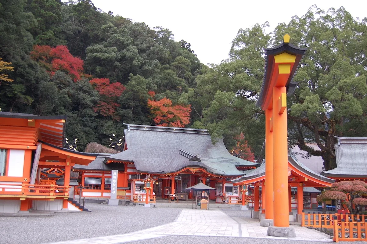 熊野那智大社の紅葉 2026