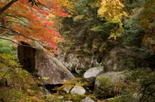 鬼の舌震の紅葉 2026
