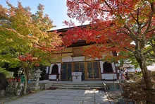 瀬戸内海国立公園 極楽寺山の紅葉 2026