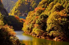 別子ラインの紅葉 2026