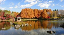 栃木県中央公園の紅葉 2026