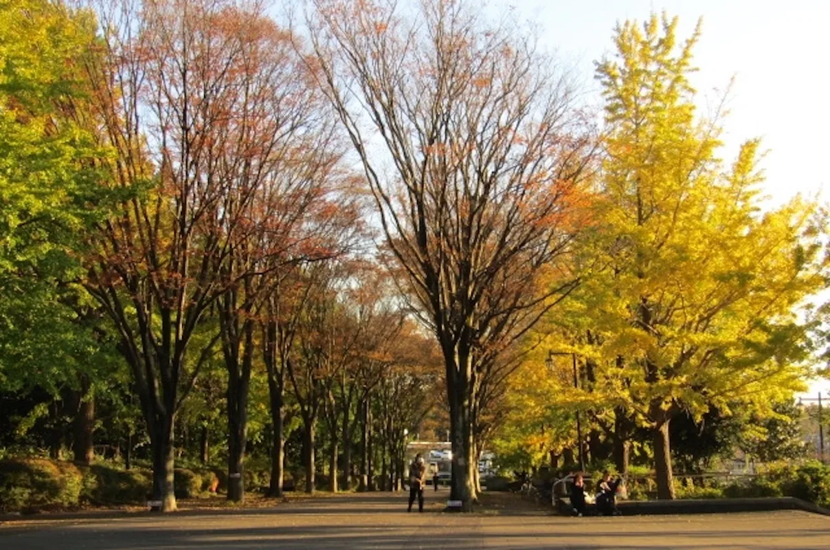 青葉の森公園の紅葉 2026