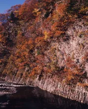 【紅葉・見ごろ】早出川ダム 2026