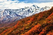 【紅葉・見ごろ】枝折峠周辺 2026