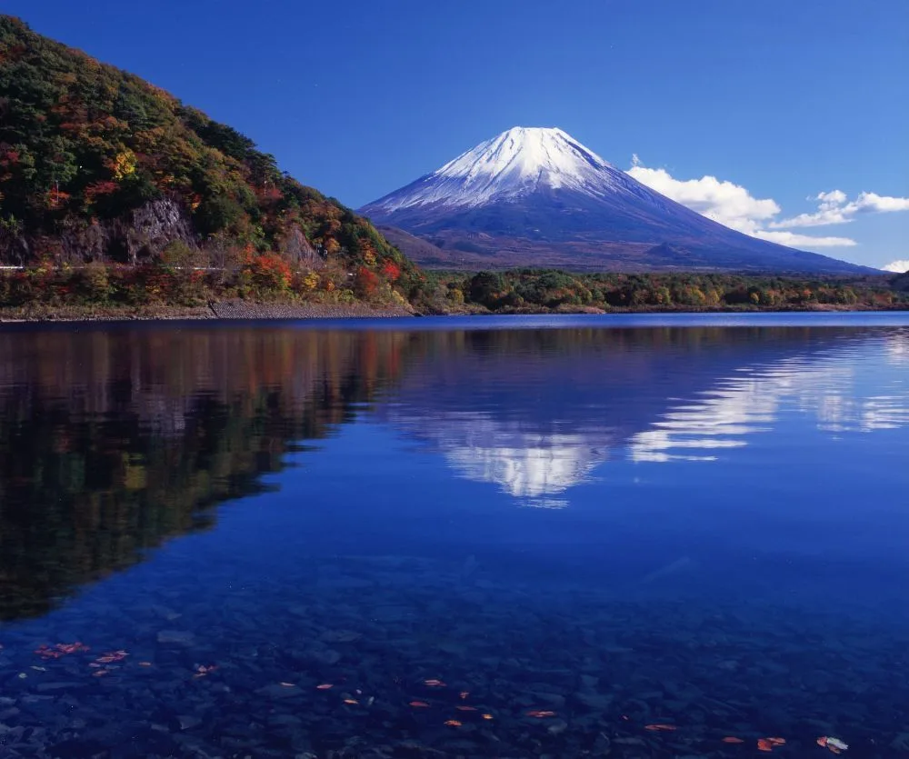本栖湖の紅葉 2026