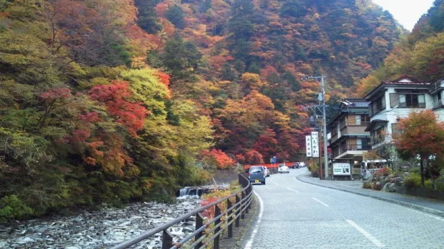 【紅葉・見ごろ】梅ヶ島温泉街 2026