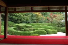 大池寺の紅葉 2026