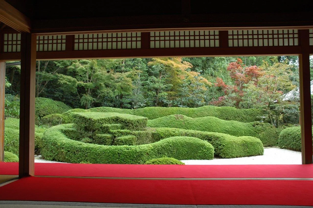 大池寺の紅葉 2026