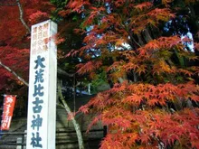 【紅葉・見ごろ】大荒比古神社 2026