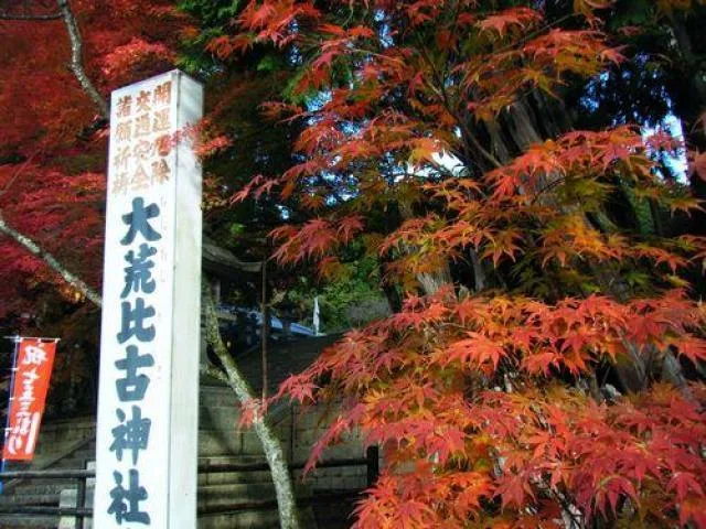 【紅葉・見ごろ】大荒比古神社 2026