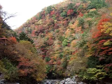 べふ峡の紅葉 2026