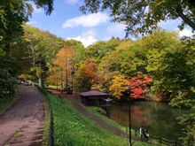 京極町ふきだし公園の紅葉 2026