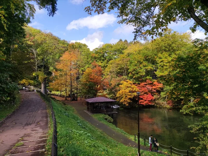 京極町ふきだし公園の紅葉 2026