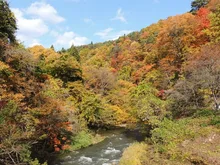 【紅葉・見ごろ】花巻南温泉峡 2026