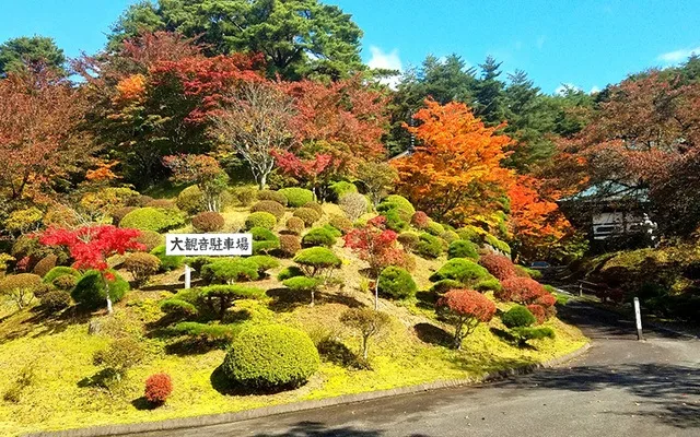 【紅葉・見ごろ】福泉寺 2026