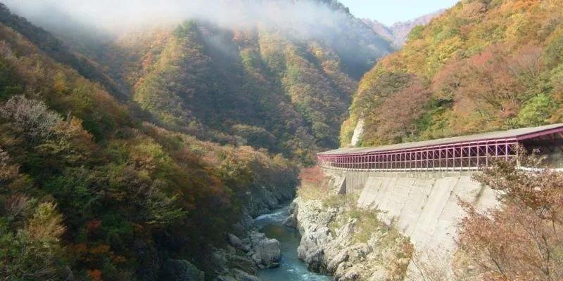 赤芝峡の紅葉 2026