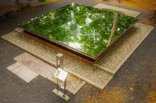 【紅葉・見ごろ】空気神社 2026