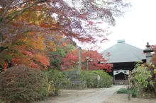 多聞院の紅葉 2026