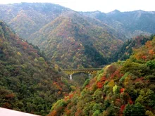【紅葉】秩父市大滝・滝川渓谷 2026