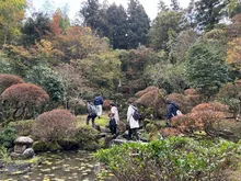 燕三条まちあるき保内公園紅葉紀行 2026
