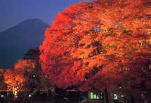 河口湖の紅葉 2026