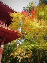 東香山 大乘寺の紅葉 2026