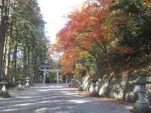 日枝神社(高山市)の紅葉 2026