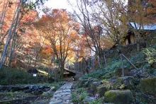 【紅葉・見ごろ】荒川豊蔵資料館 2026