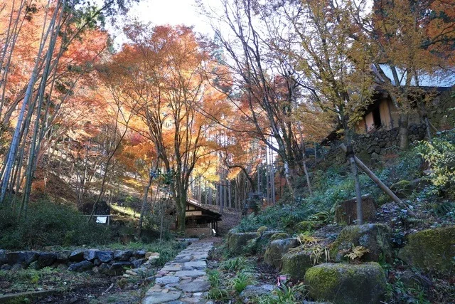 【紅葉・見ごろ】荒川豊蔵資料館 2026