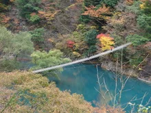 寸又峡の紅葉 2026