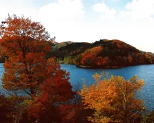 三河湖の紅葉 2026