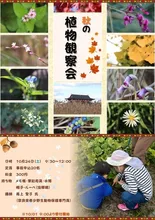 秋の植物観察会 2026