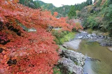 【紅葉・見ごろ】玉川峡 2026