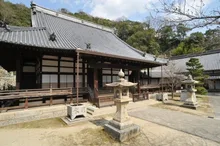 【紅葉・見ごろ】照蓮寺 2026