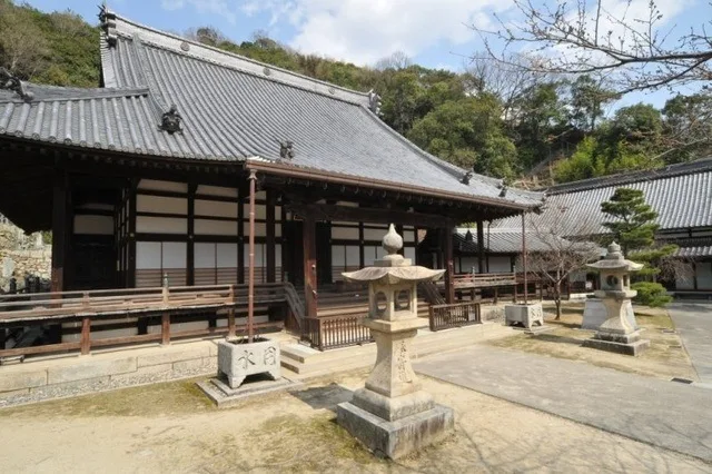 【紅葉・見ごろ】照蓮寺 2026