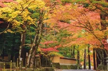 【紅葉・見ごろ】佛通寺 2026