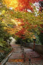 西山興隆寺の紅葉 2026
