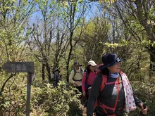 はじめての山歩き 皿ヶ嶺 2026