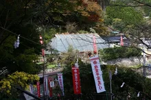 【紅葉・見ごろ】鶴富屋敷 2026